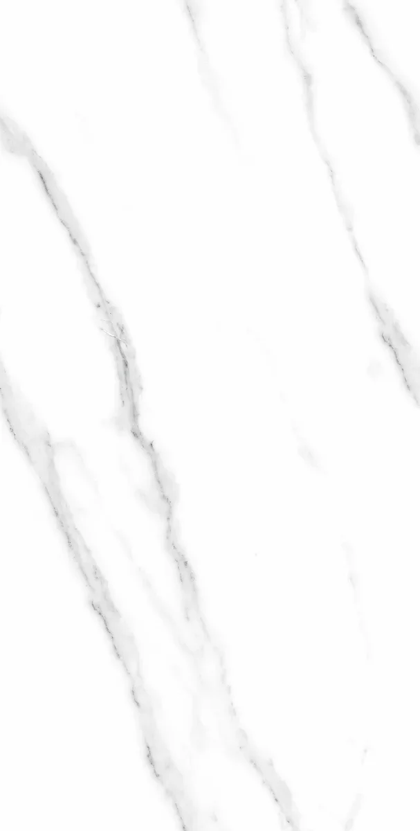 Fresh 12 PGVT 03