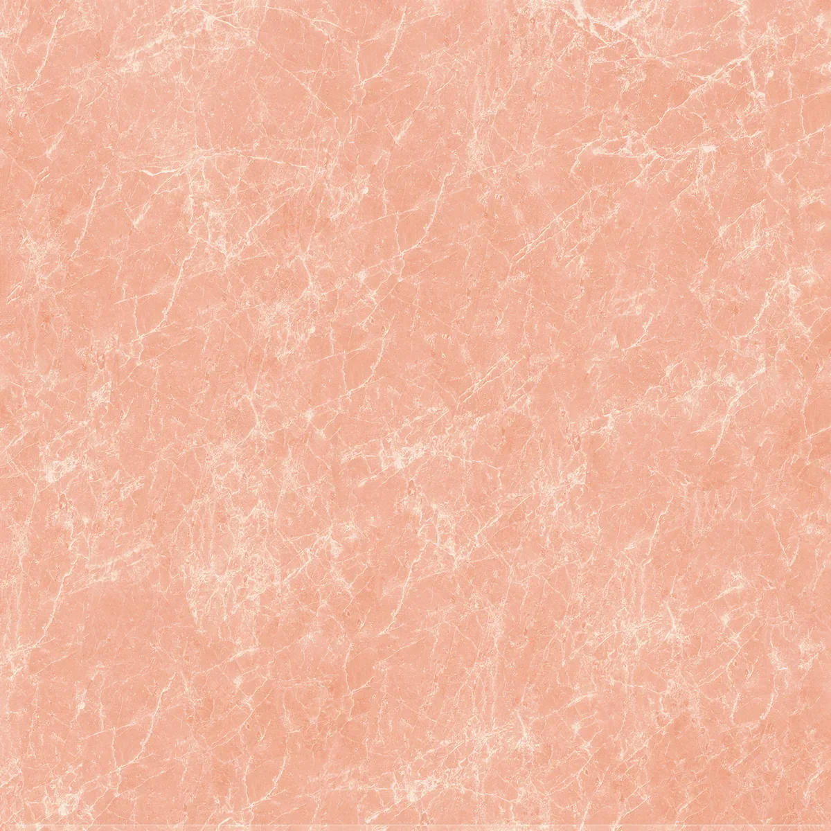 Fresh 3 DP 5024 P